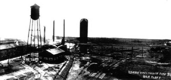Largest Saw Mill on the Coast